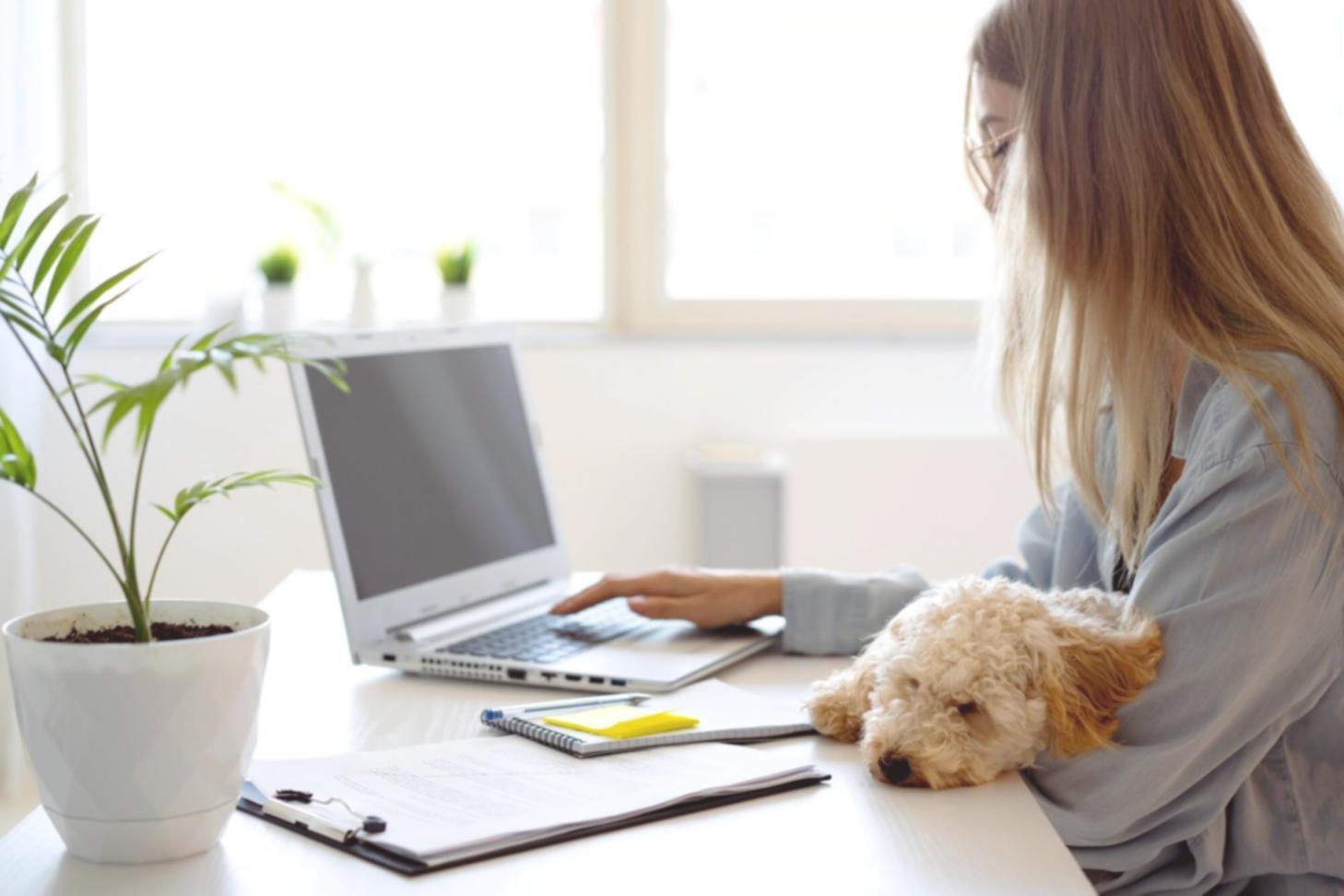 Étudiant travaillant sur des documents financiers avec un ordinateur portable